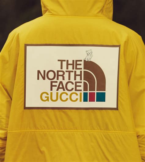 gucci north face gucci